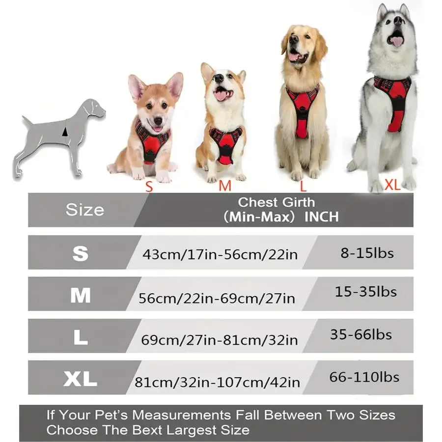 Hundehalsbänder, Geschirr, große Westen, Leine, Tierhandlung, alles – Bild 6
