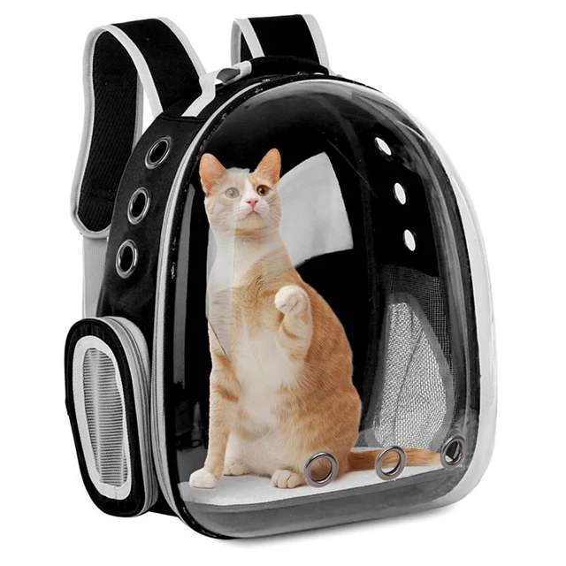 Haustier-Tragetasche für Katzen, Atmungsaktiver Transparenter Rucksack für Welpen und Hunde, Transportbox