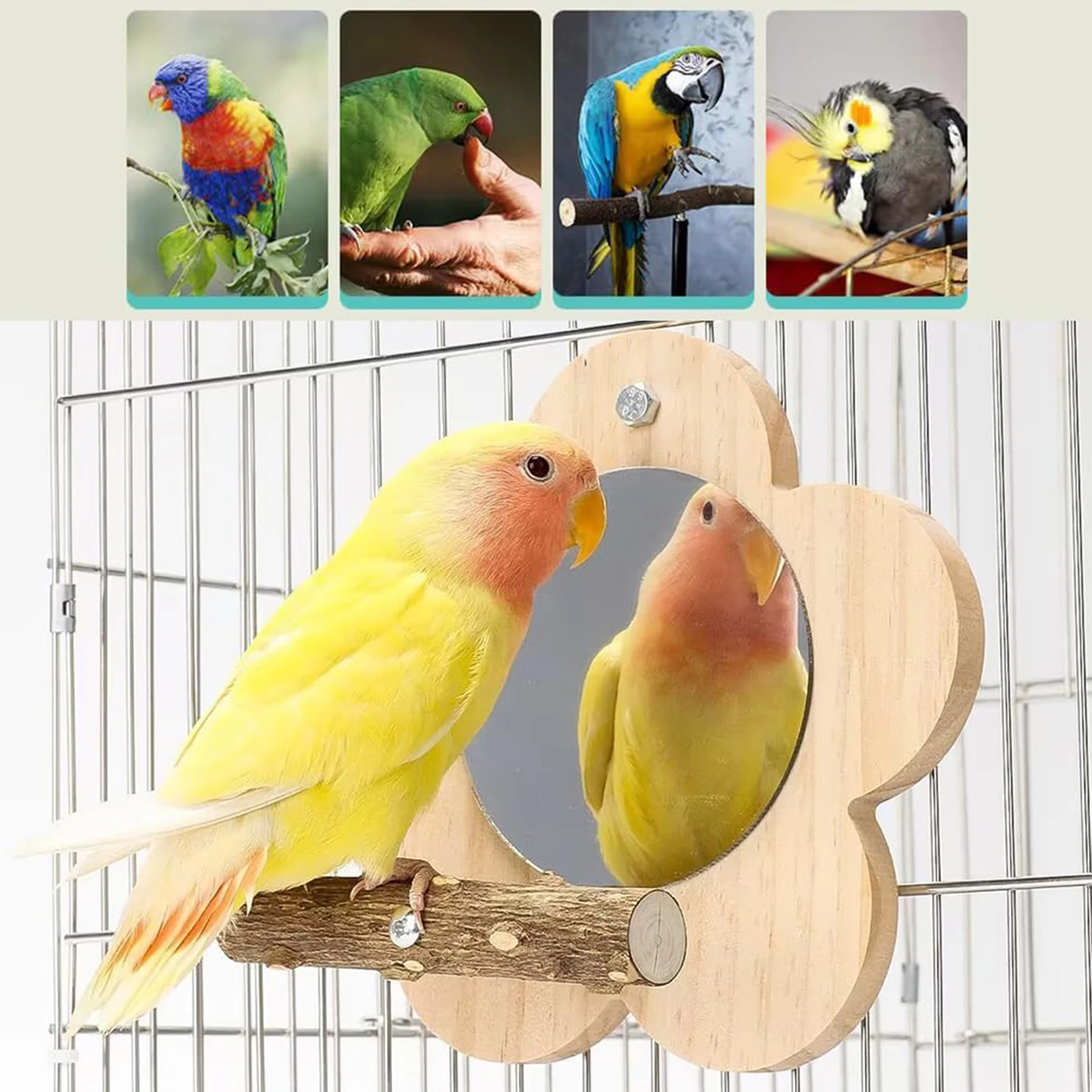 Blume Vogelkäfig Barsch Spiegel Papagei Spielen Übung Ständer Holz – Bild 6