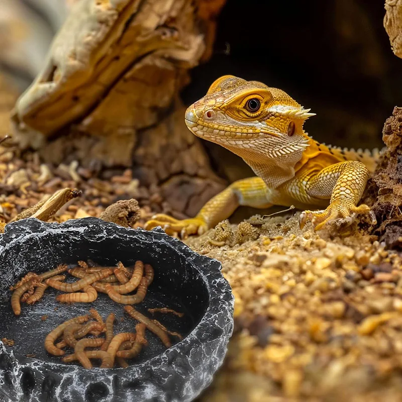 Futterschale für Reptilien, realistische Steinstruktur, sicher – Bild 3