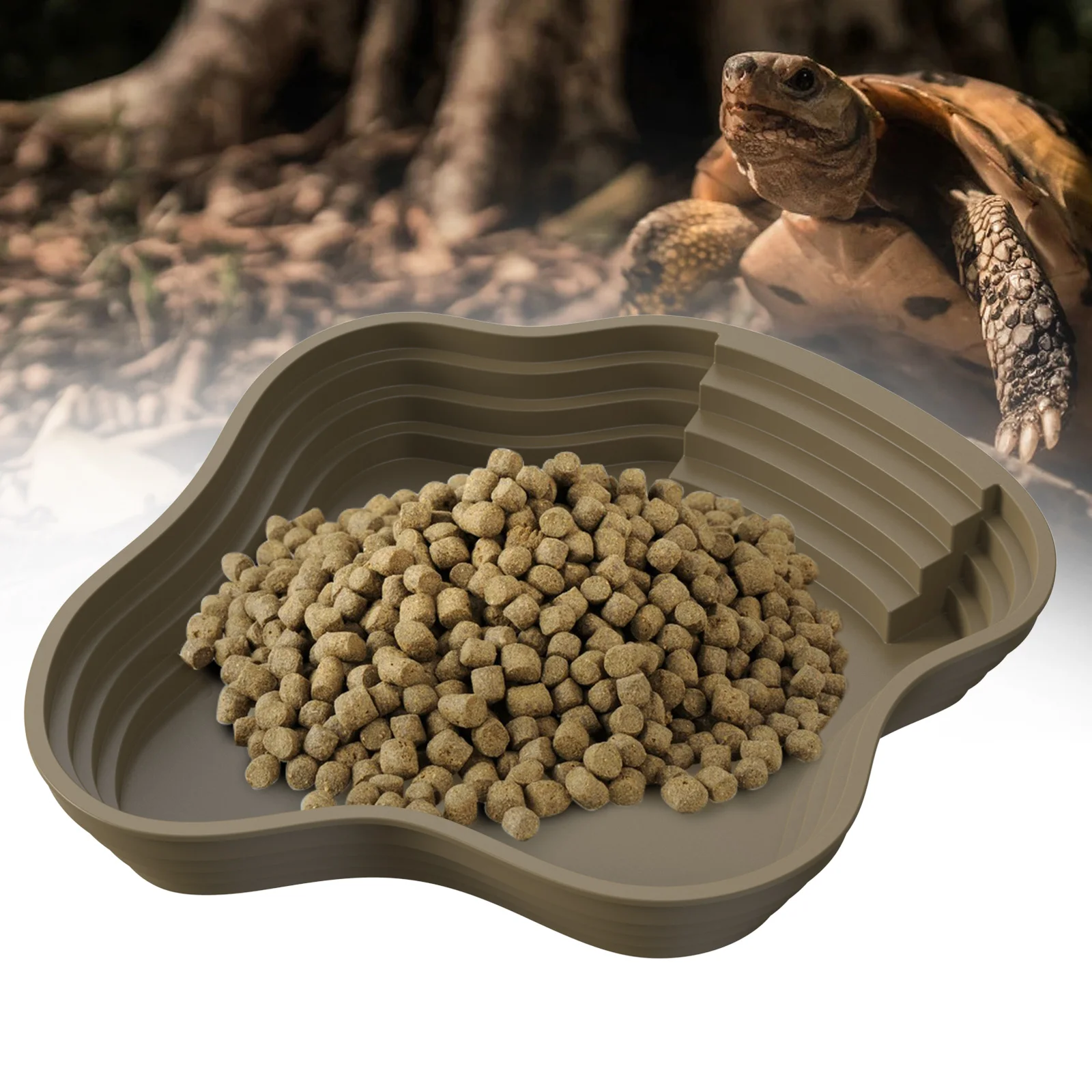 Schildkröten-Badebecken, Frosch-Badebecken, kann auch als Futterschale – Bild 6