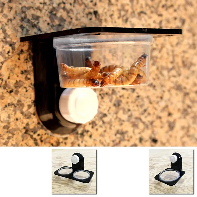 Reptilien Tank Zubehör Insekt Spinne Ameisen Nest Schlange Gecko – Bild 3