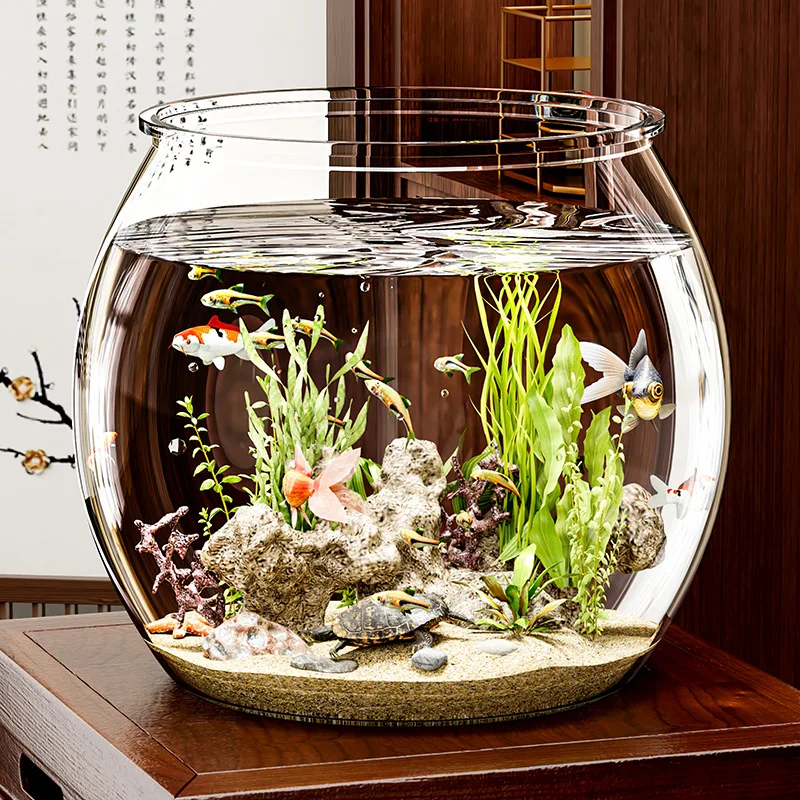 Glasähnliches Rundes Fischbecken Ökologisches Aquarium – Bild 4