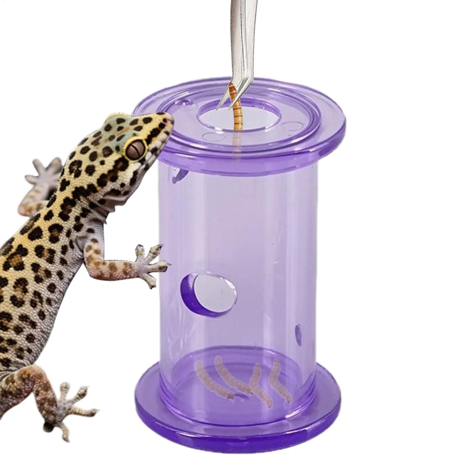 Reptilien-Futterschale, Slow Feeder Rollzylinder, Transparent – Bild 3