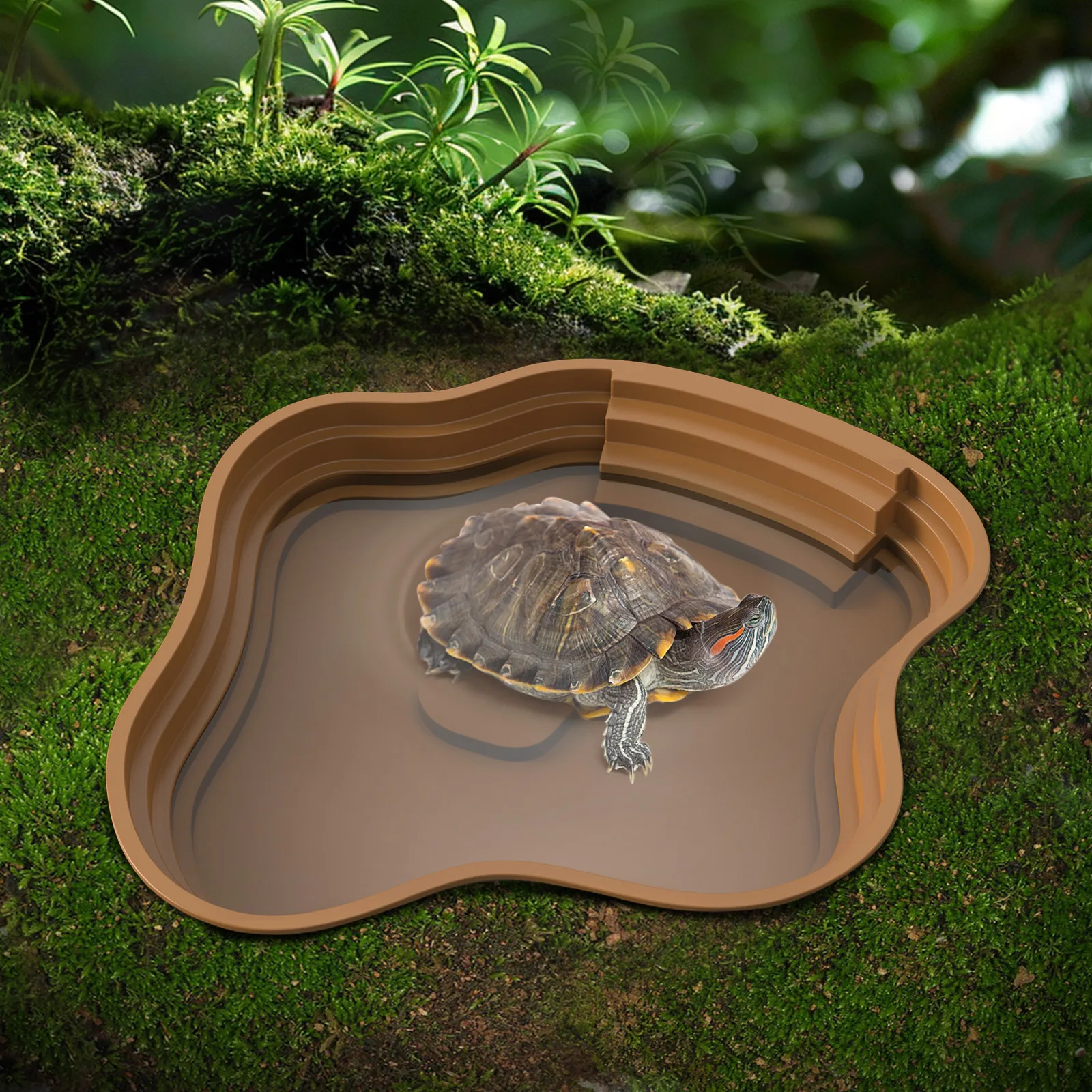Schildkröten-Badebecken, Frosch-Badebecken, kann auch als Futterschale – Bild 3