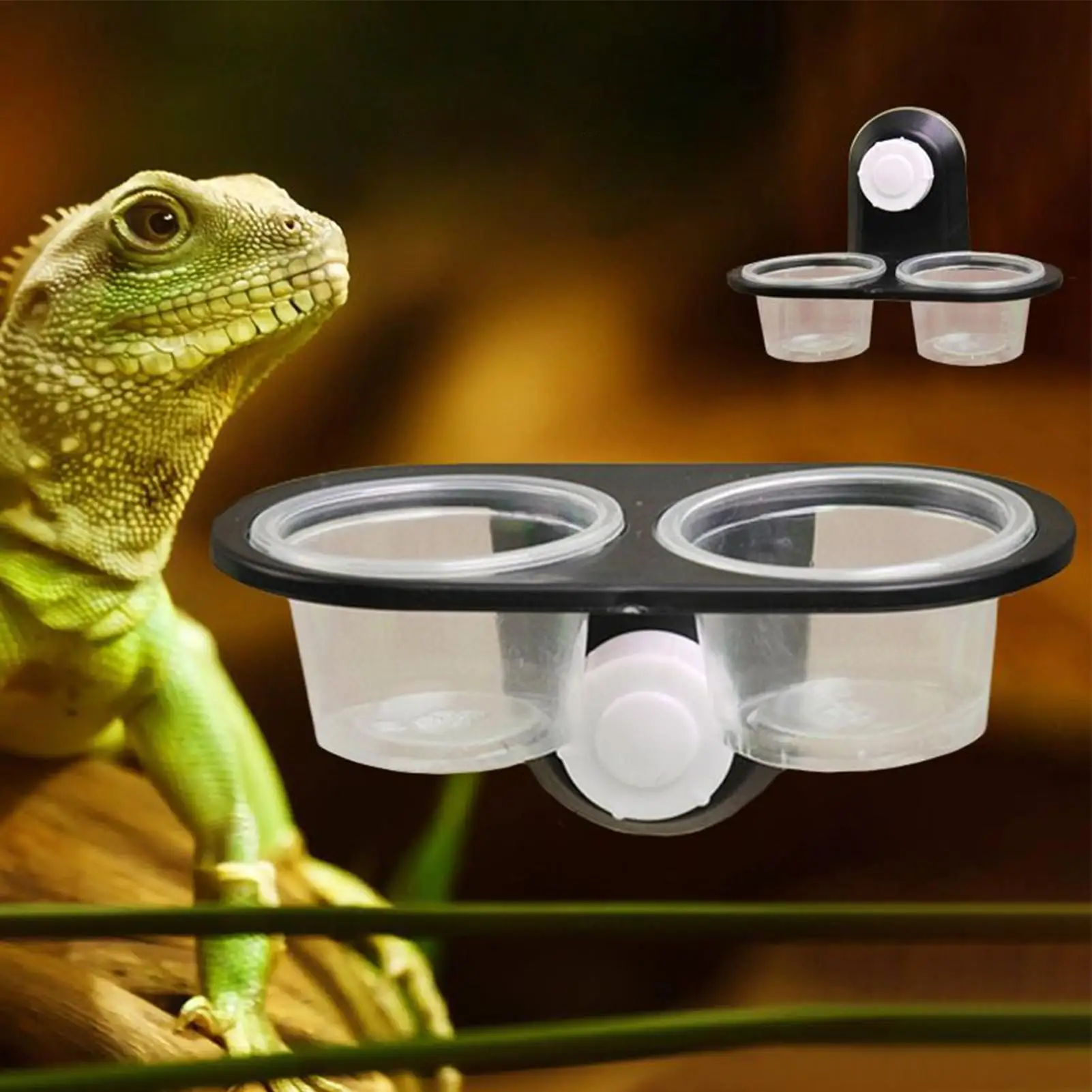 Reptilien-Futter- und Wassernapf mit Saugnäpfen – Bild 5