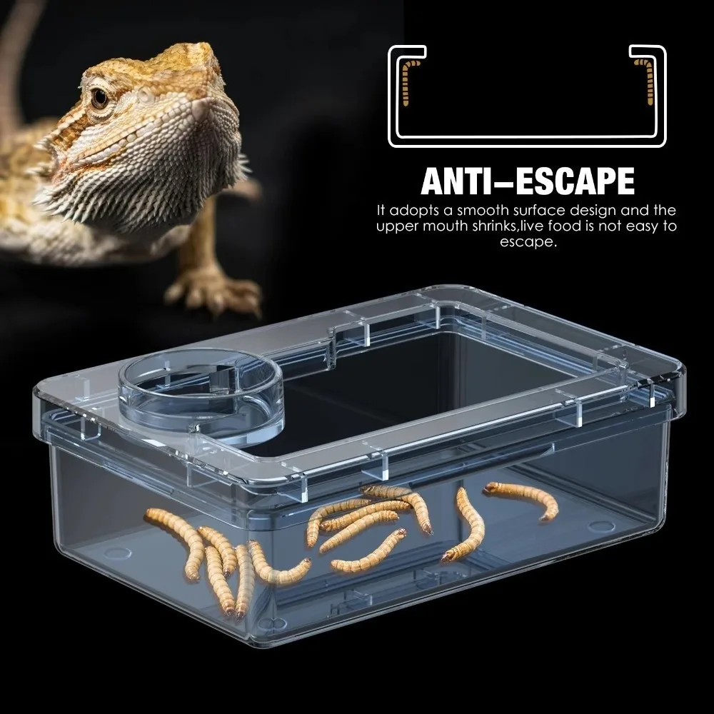 Futternäpfe für Reptilien-Eidechsen, Geckos, verhindern Tenebrio – Bild 5
