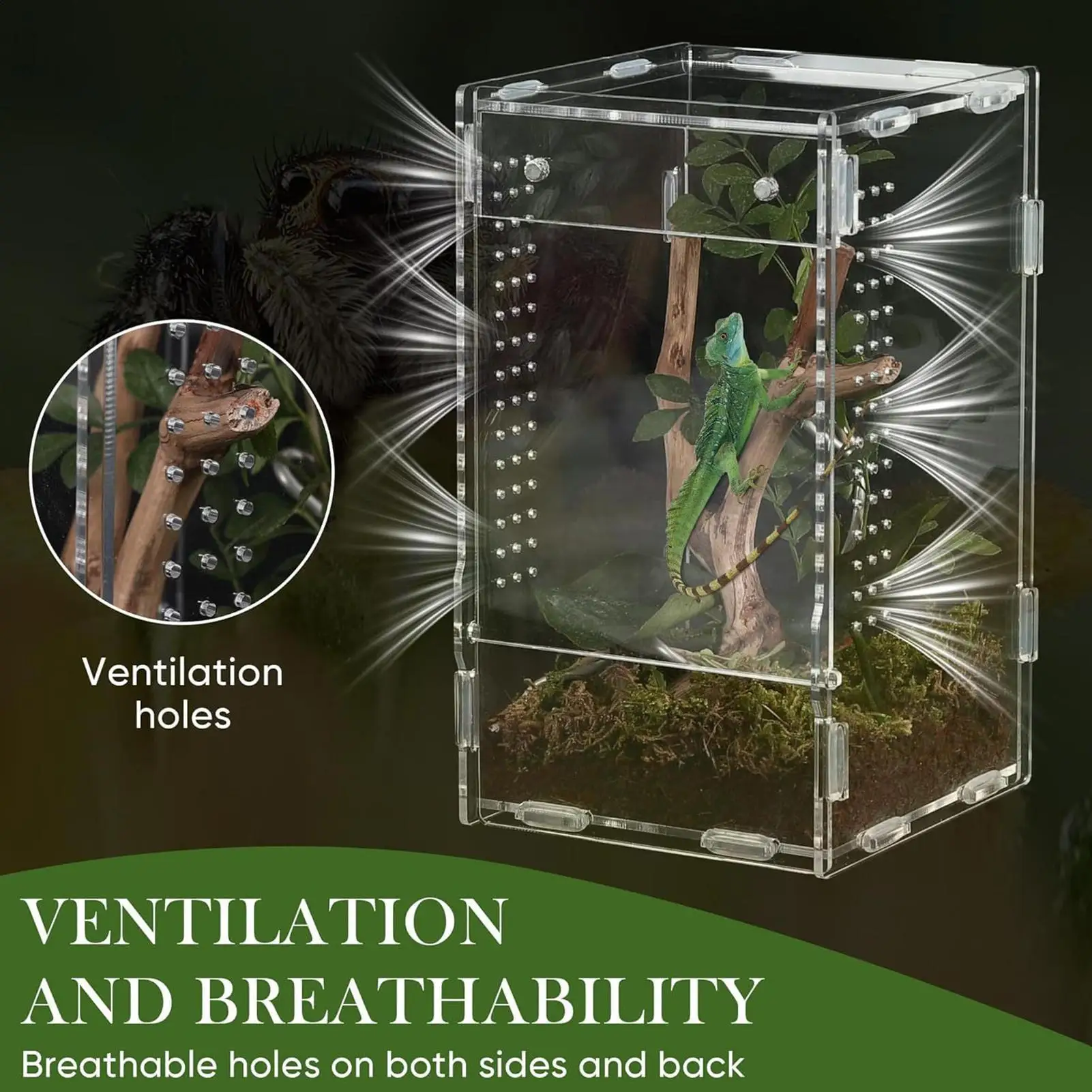 Transparentes Acryl-Terrarium für Reptilien, Zuchtbox, Amphibienkäfig – Bild 5