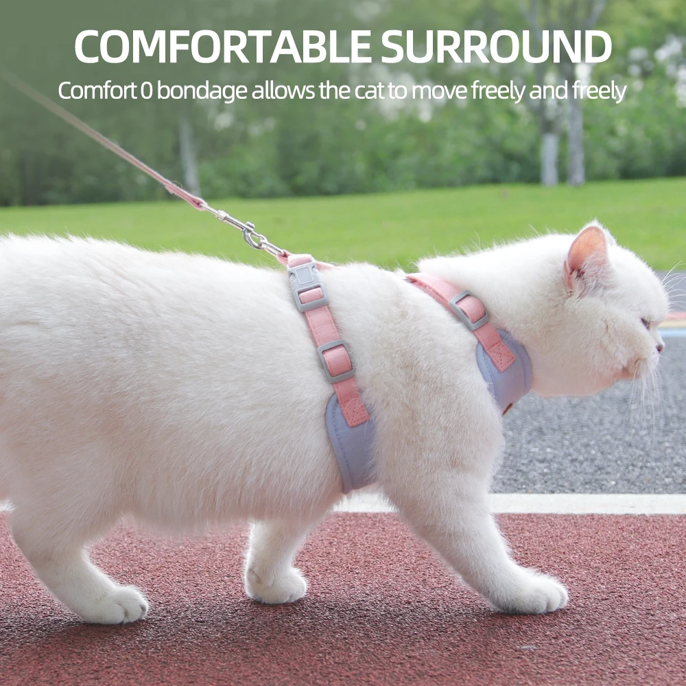 Outdoor-Walking-Zubehör für Katzen und Welpen, modisches – Bild 4