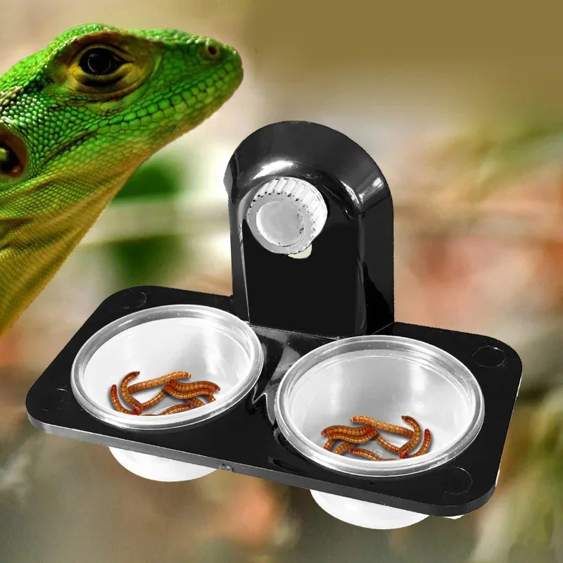 Reptilien Tank Zubehör Insekt Spinne Ameisen Nest Schlange Gecko – Bild 5