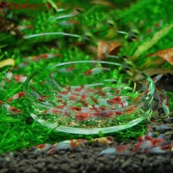 Glas-Aquarium-Futterschale Transparente Runde Schale Fischfutter-Spender Langlebiger