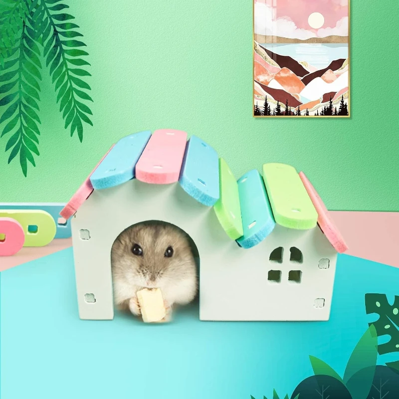 Rundes Hamsterhaus, DIY-Holz-Rennvorlauf, Regenbogenbrücke, geeignet – Bild 5