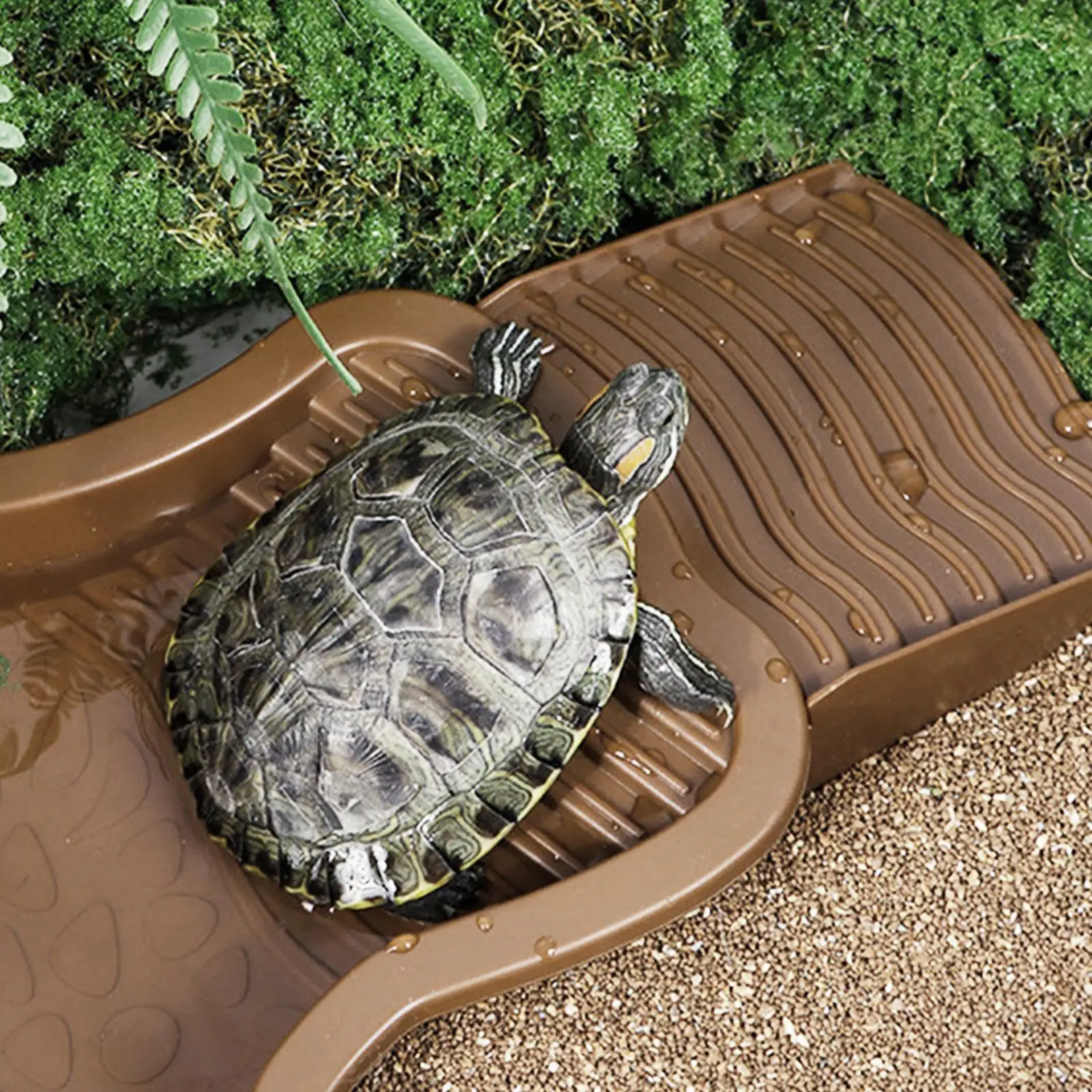Reptilien-Badebecken mit Rampe, Schildkröten-Einweichenwanne – Bild 4