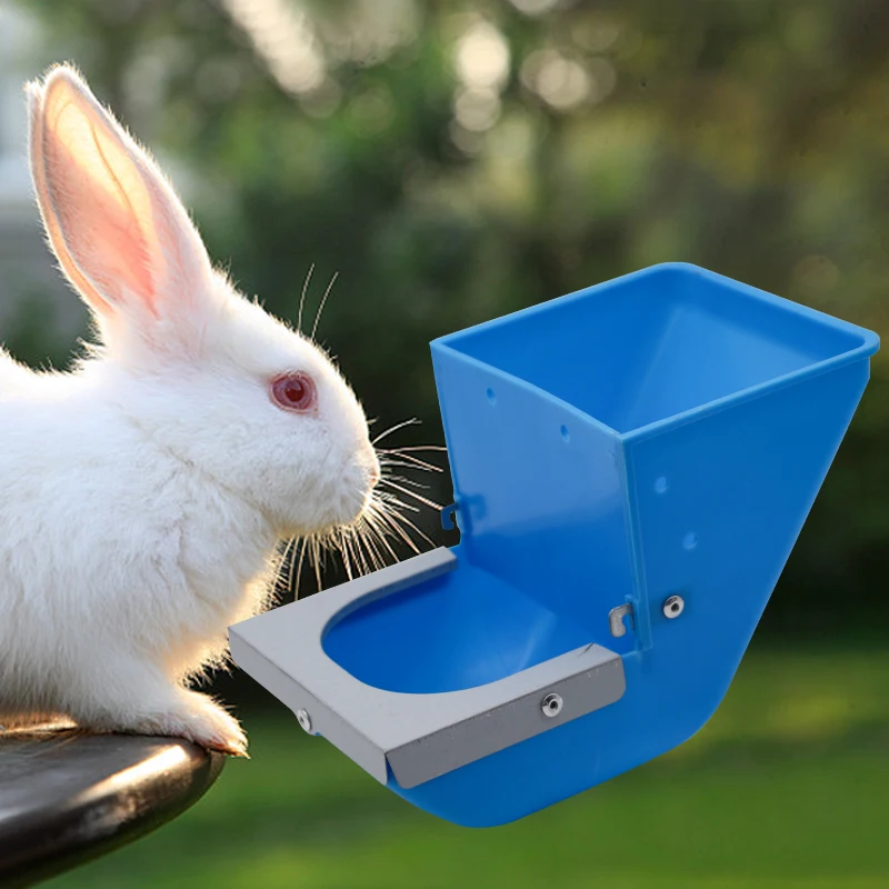 Blaue Kaninchen-Futterbox Hängender Futtertrog für Kaninchenkäfig Hamster Hase Meerschweinchen Fress
