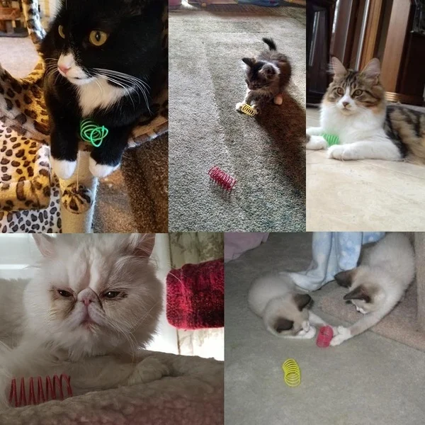 Kätzchen Spule Spirale Federn Katze Spielzeug Interaktive Gauge Katze – Bild 6
