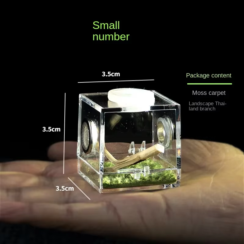 Kleine Reptilien Zucht Box Klar Acryl Käfig Lebensraum Insekten Fütterung Box Terrarium Tank Escape Proof