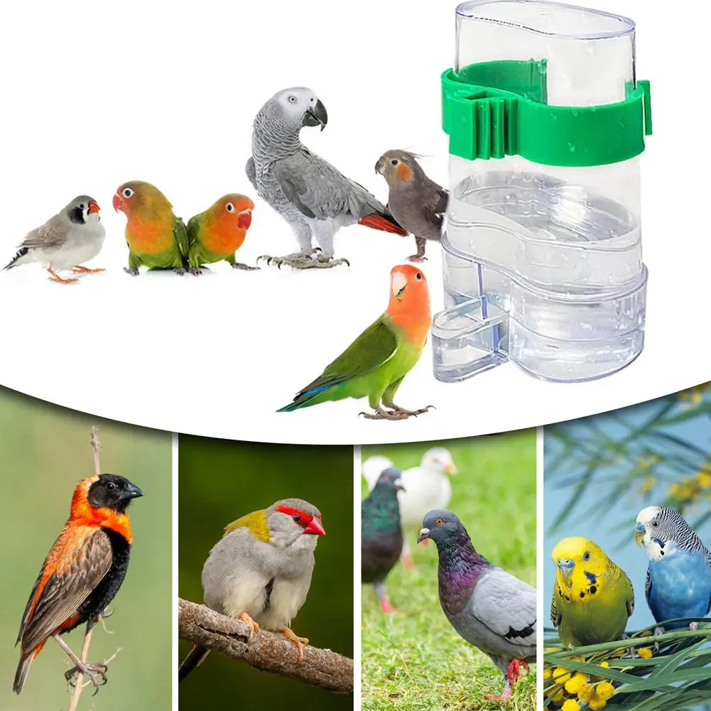 Automatischer Vogelwasserspender, Vogeltrink-Futterspender – Bild 3